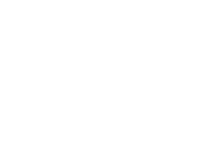 Write the Vision Consulting